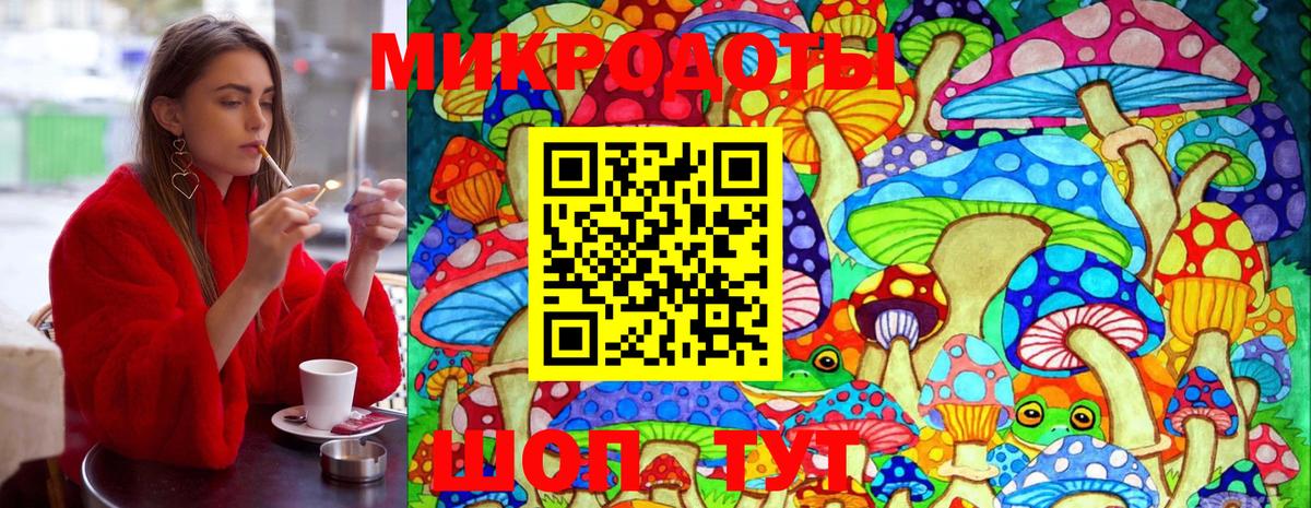 Псилоцибиновые грибы мицелий Димитровград